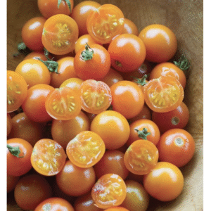 Semillas de tomates cherry ‘Sun Gold’